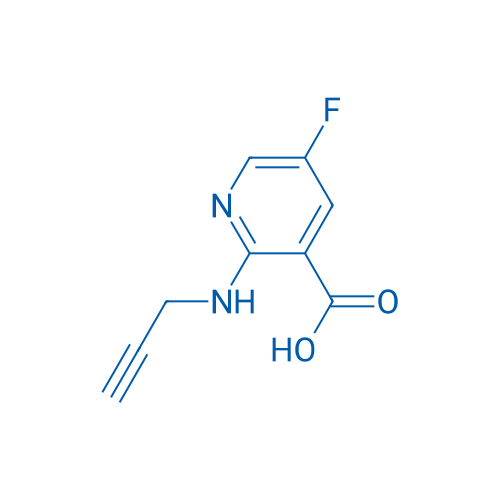 5-Fluoro-2-[(prop-2-yn-1-yl)amino]pyridine-3-carboxylic acid 1g