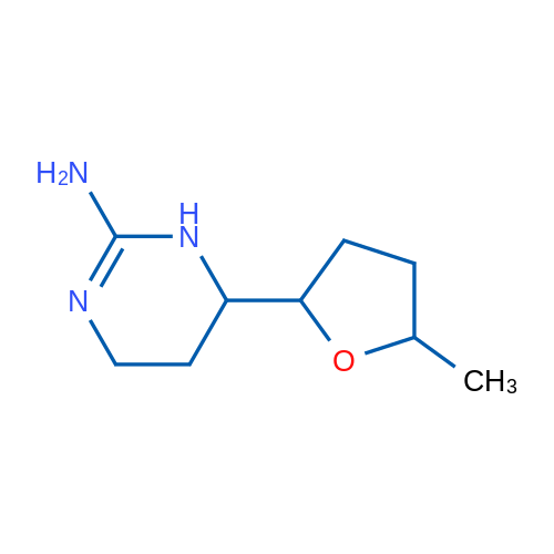 6-(5-Methyloxolan-2-yl)-1,4,5,6-tetrahydropyrimidin-2-amine 1g