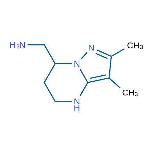 {2,3-dimethyl-4H,5H,6H,7H-pyrazolo[1,5-a]pyrimidin-7-yl}methanamine 1g