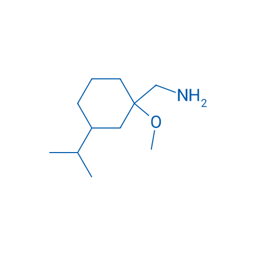 [1-Methoxy-3-(propan-2-yl)cyclohexyl]methanamine 1g