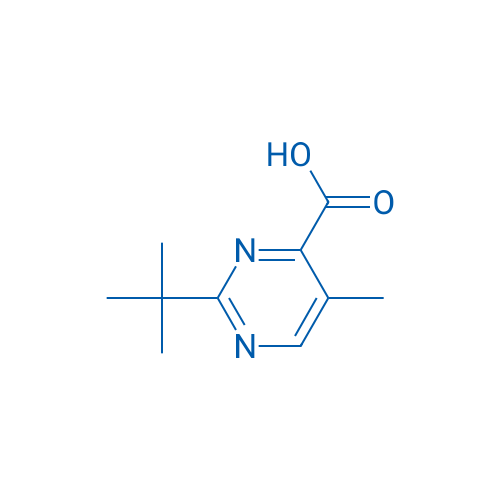 2-tert-Butyl-5-methylpyrimidine-4-carboxylic acid 1g