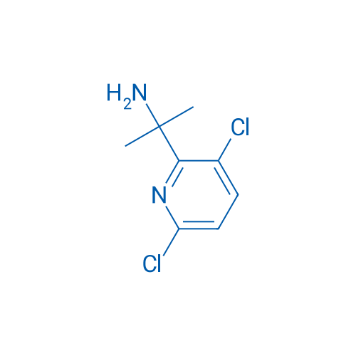 2-(3,6-Dichloropyridin-2-yl)propan-2-amine 5g