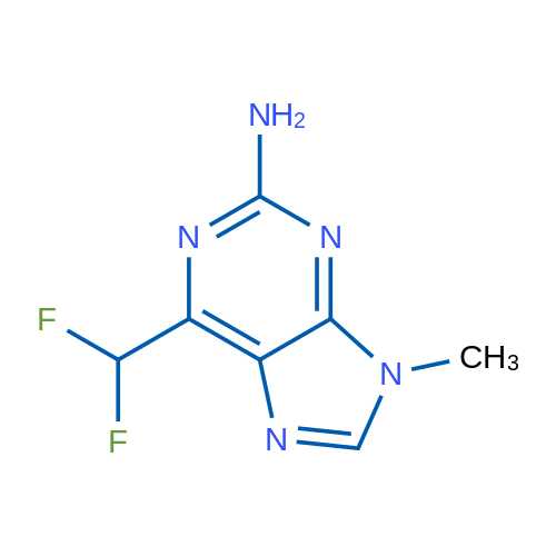 6-(Difluoromethyl)-9-methyl-9H-purin-2-amine 1g