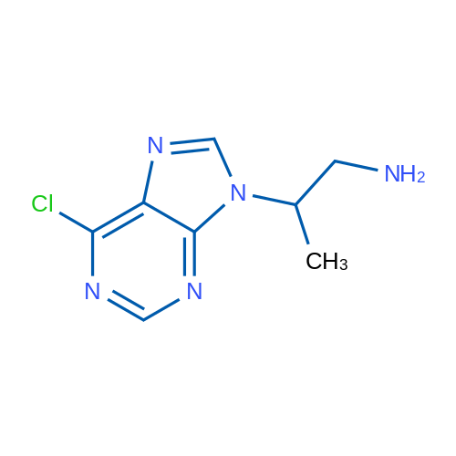 2-(6-Chloro-9H-purin-9-yl)propan-1-amine 1g