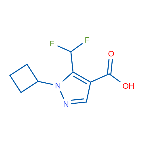 1-Cyclobutyl-5-(difluoromethyl)-1H-pyrazole-4-carboxylic acid 1g