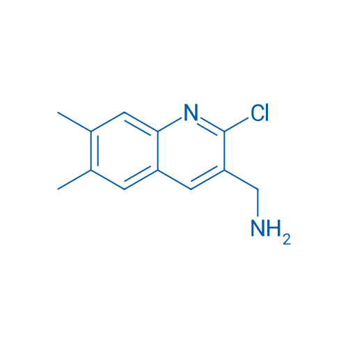 (2-Chloro-6,7-dimethylquinolin-3-yl)methanamine 1g