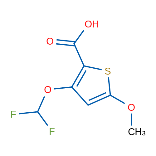 3-(Difluoromethoxy)-5-methoxythiophene-2-carboxylic acid 1g