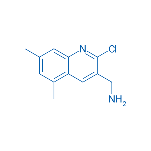 (2-Chloro-5,7-dimethylquinolin-3-yl)methanamine 1g