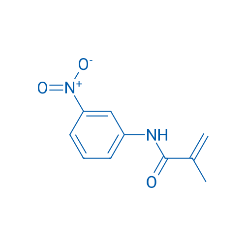 2-Methyl-N-(3-nitrophenyl)prop-2-enamide 1g