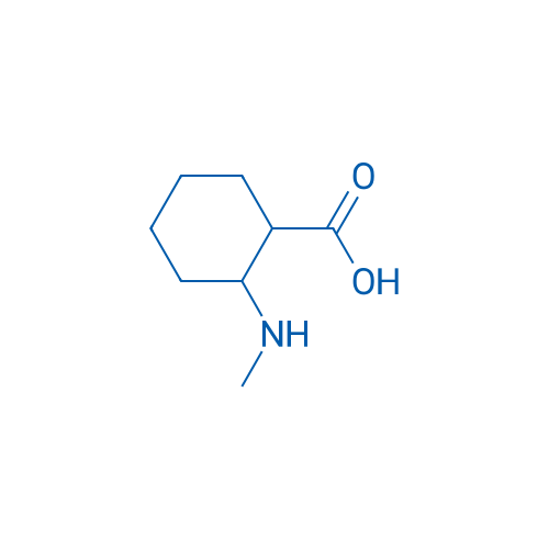 2-(Methylamino)cyclohexane-1-carboxylic acid 1g