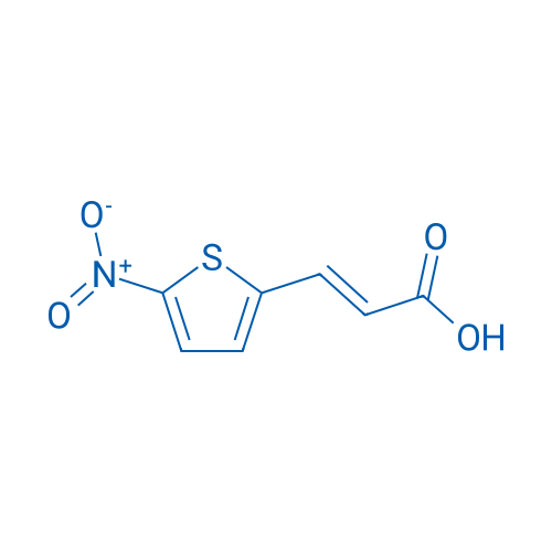 3-(5-Nitrothiophen-2-yl)acrylic acid 100mg