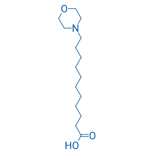 11-Morpholinoundecanoic acid 1g