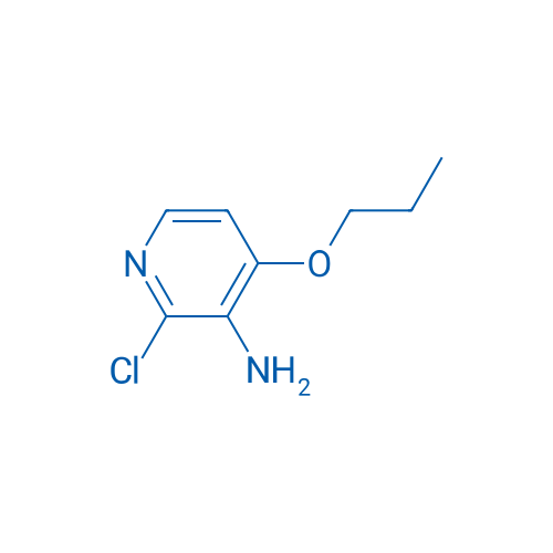 2-Chloro-4-propoxypyridin-3-amine 1g
