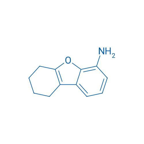 6,7,8,9-Tetrahydrodibenzo[b,d]furan-4-amine 1g