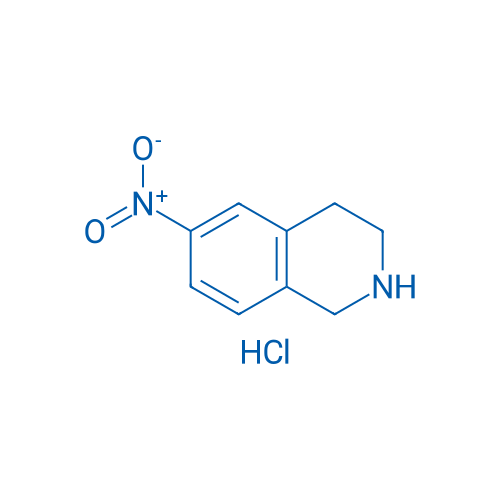 6-Nitro-1,2,3,4-tetrahydroisoquinoline hydrochloride 250mg