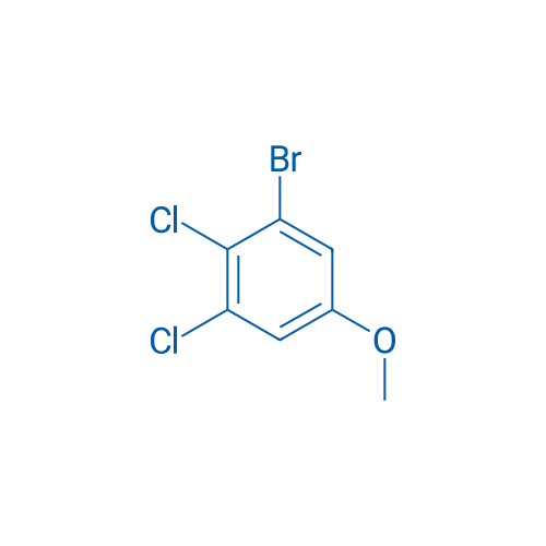 1-Bromo-2,3-dichloro-5-methoxybenzene 10g