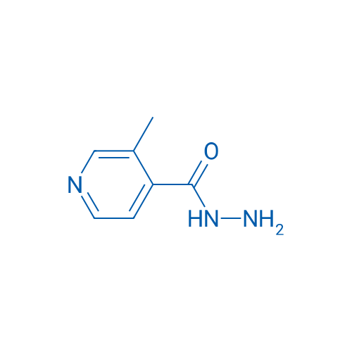 3-Methylisonicotinohydrazide 250mg