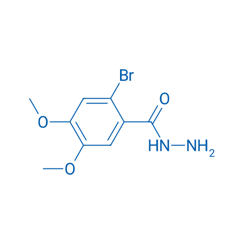 2-Bromo-4,5-dimethoxybenzohydrazide 1g