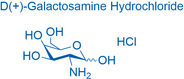 D-(+)-Galactosamine HCI 10g