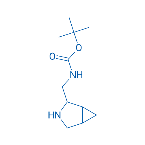tert-Butyl N-{3-azabicyclo[3.1.0]hexan-2-ylmethyl}carbamate 1g