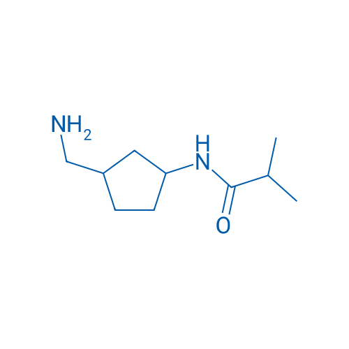 N-[3-(Aminomethyl)cyclopentyl]-2-methylpropanamide 1g