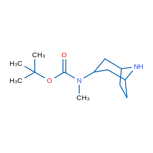 tert-Butyl n-(8-azabicyclo[3.2.1]octan-3-yl)-n-methylcarbamate 1g