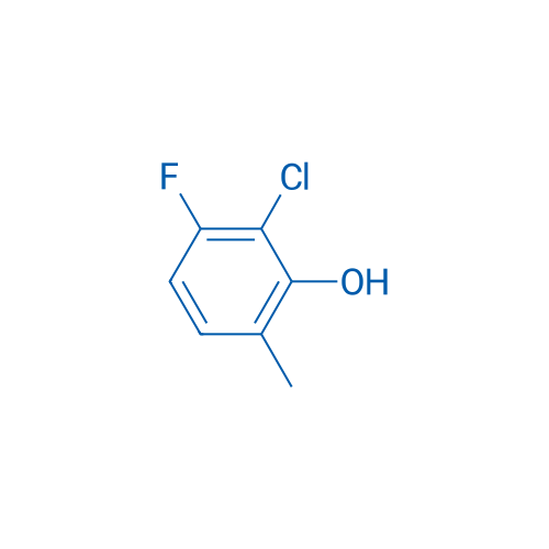 2-Chloro-3-fluoro-6-methylphenol 250mg