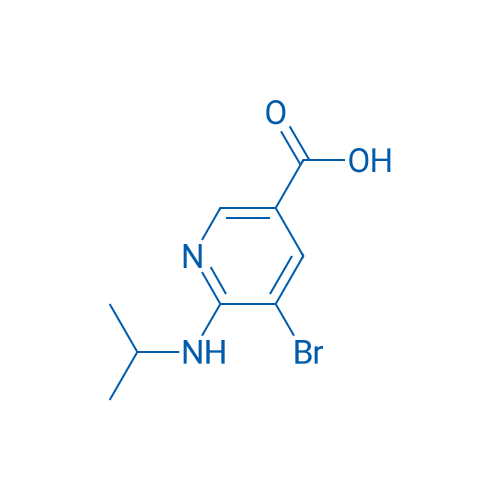 5-Bromo-6-(isopropylamino)nicotinic acid 1g
