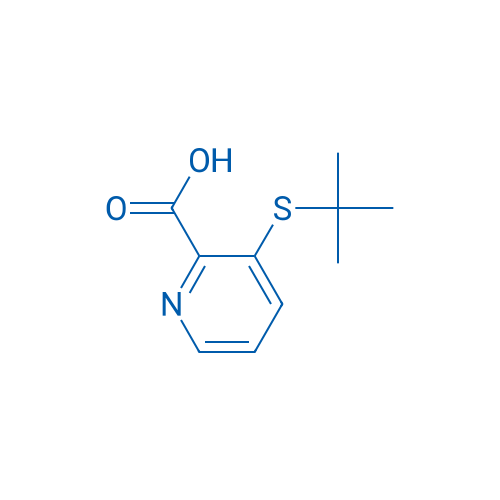 3-(tert-Butylthio)picolinic acid 100mg