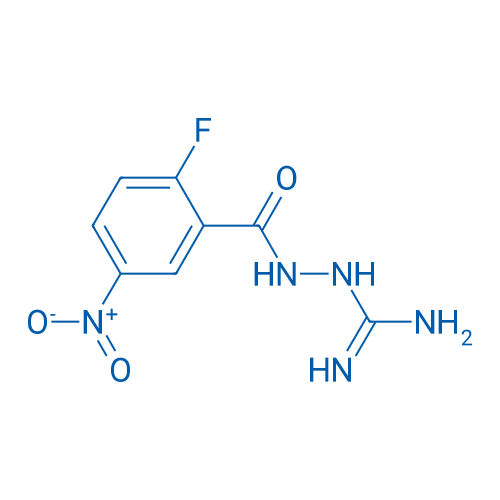 2-(2-Fluoro-5-nitrobenzoyl)hydrazinecarboximidamide 1g