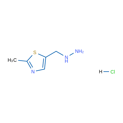 5-(Hydrazinylmethyl)-2-methyl-1,3-thiazole hydrochloride 1g