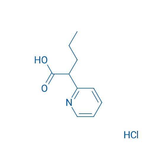 2-(Pyridin-2-yl)pentanoic acid hydrochloride 1g
