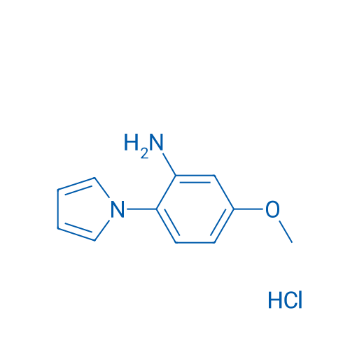 5-Methoxy-2-(1H-pyrrol-1-yl)aniline hydrochloride 1g