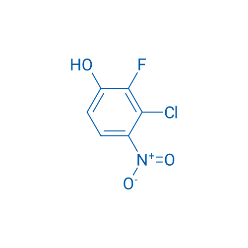 3-Chloro-2-fluoro-4-nitrophenol 1g