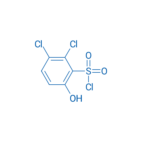 2,3-Dichloro-6-hydroxybenzene-1-sulfonyl chloride 1g
