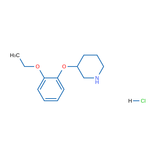 3-(2-Ethoxyphenoxy)piperidine hydrochloride 1g