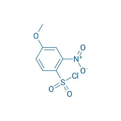 4-Methoxy-2-nitrobenzenesulfonyl chloride 1g