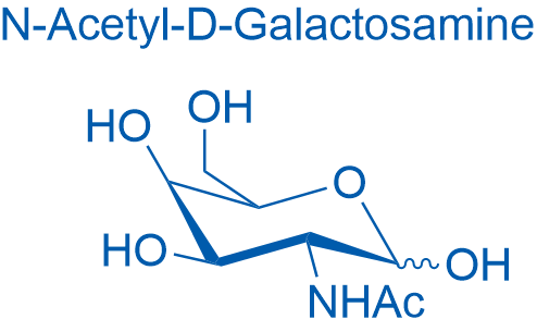 D-N-Acetylgalactosamine 5g