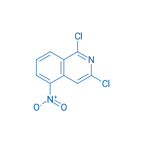1,3-Dichloro-5-nitroisoquinoline 250mg