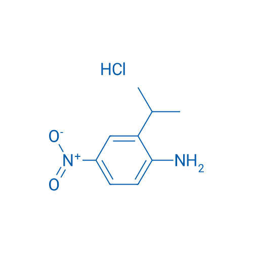 4-Nitro-2-(propan-2-yl)aniline hydrochloride 1g