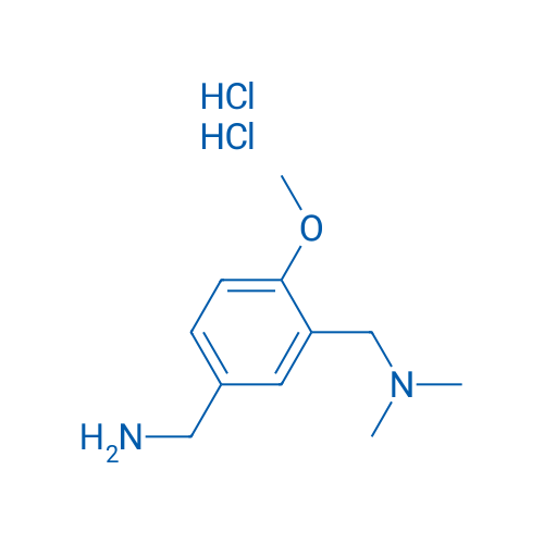 1-(5-(aminomethyl)-2-methoxyphenyl)-N,N-dimethylmethanamine dihydrochloride 10g