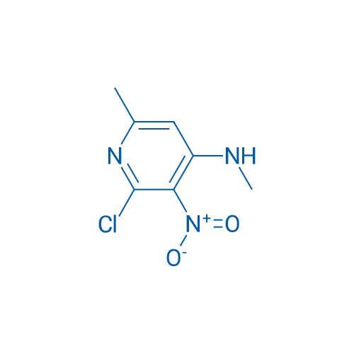2-Chloro-N,6-dimethyl-3-nitropyridin-4-amine 1g