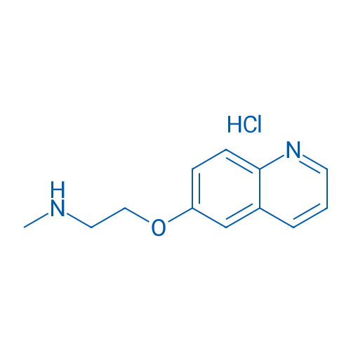 N-methyl-2-(quinolin-6-yloxy)ethan-1-amine hydrochloride 1g