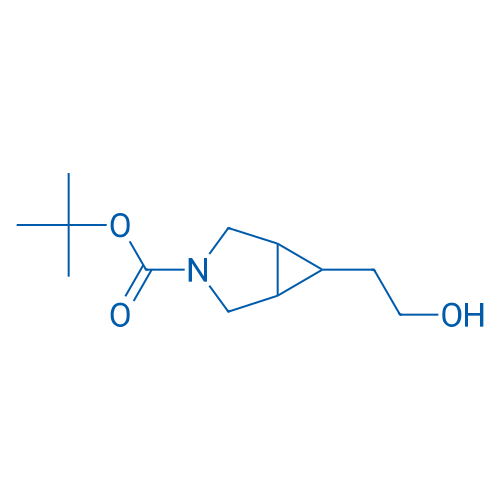 tert-Butyl 6-(2-hydroxyethyl)-3-azabicyclo[3.1.0]hexane-3-carboxylate 1g