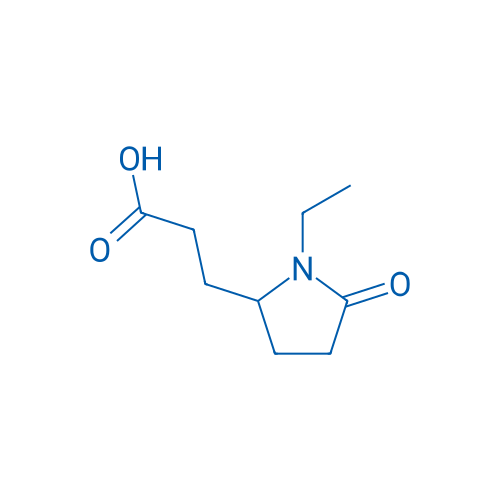 3-(1-Ethyl-5-oxopyrrolidin-2-yl)propanoic acid 1g