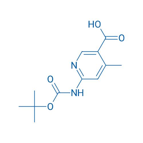 6-[(tert-Butoxycarbonyl)amino]-4-methylnicotinic acid 1g