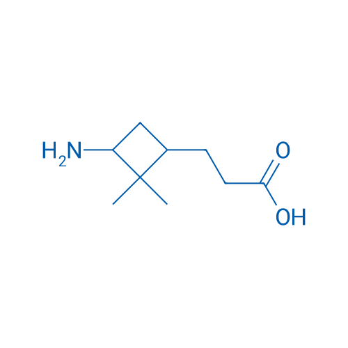 3-(3-Amino-2,2-dimethylcyclobutyl)propanoic acid 1g