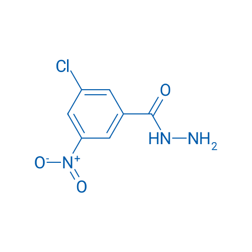 3-Chloro-5-nitrobenzohydrazide 1g