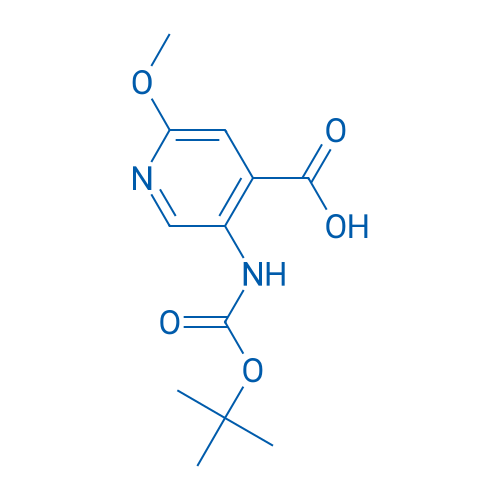 5-(Boc-amino)-2-methoxyisonicotinic Acid 25g