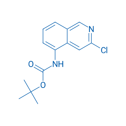 TERT-BUTYL (3-CHLOROISOQUINOLIN-5-YL)CARBAMATE 1g